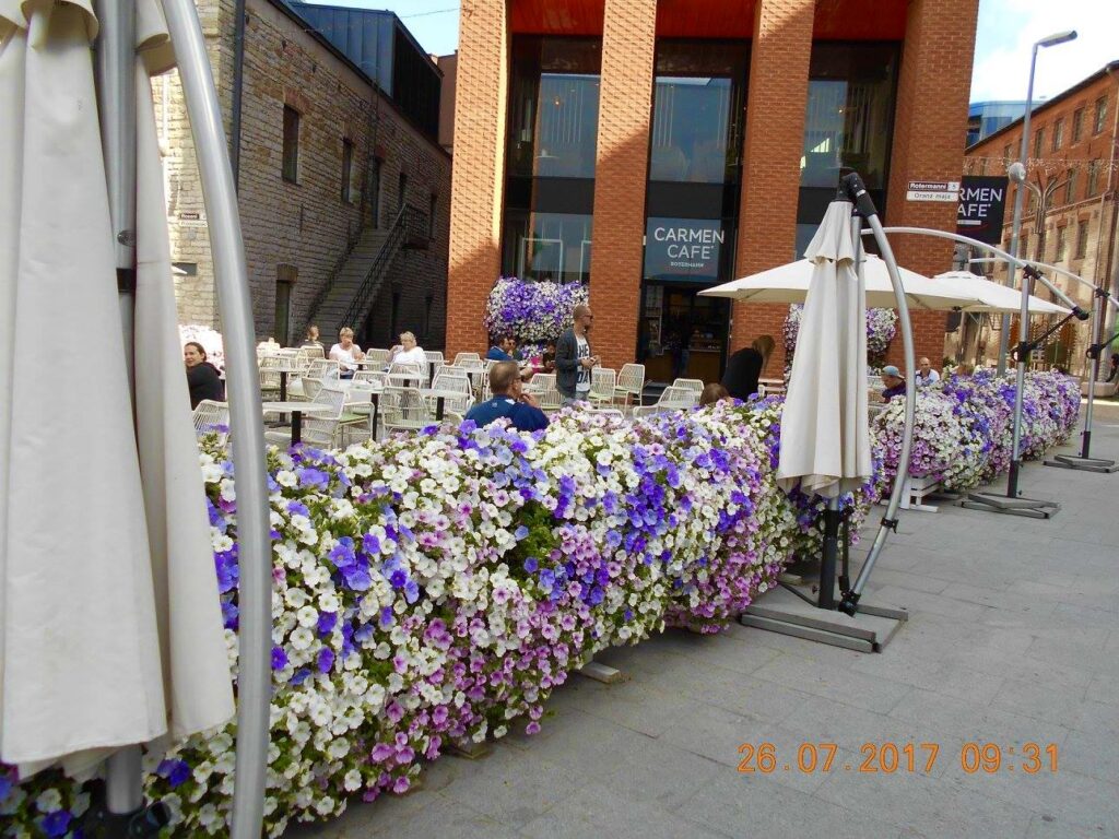 lilleparuni lillekastid tallinnas rottermani kvartalis