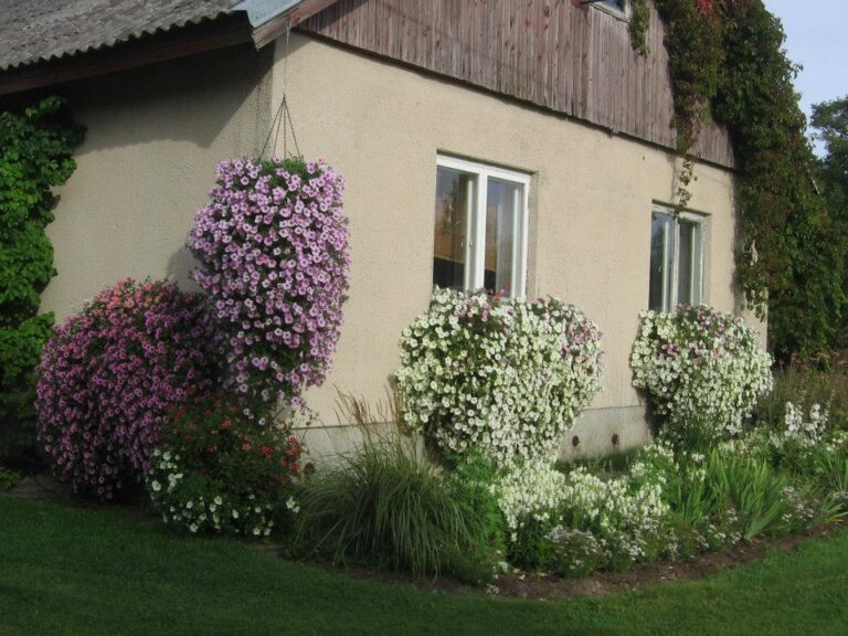 555961351 24705712319045370 826597925345690708 n