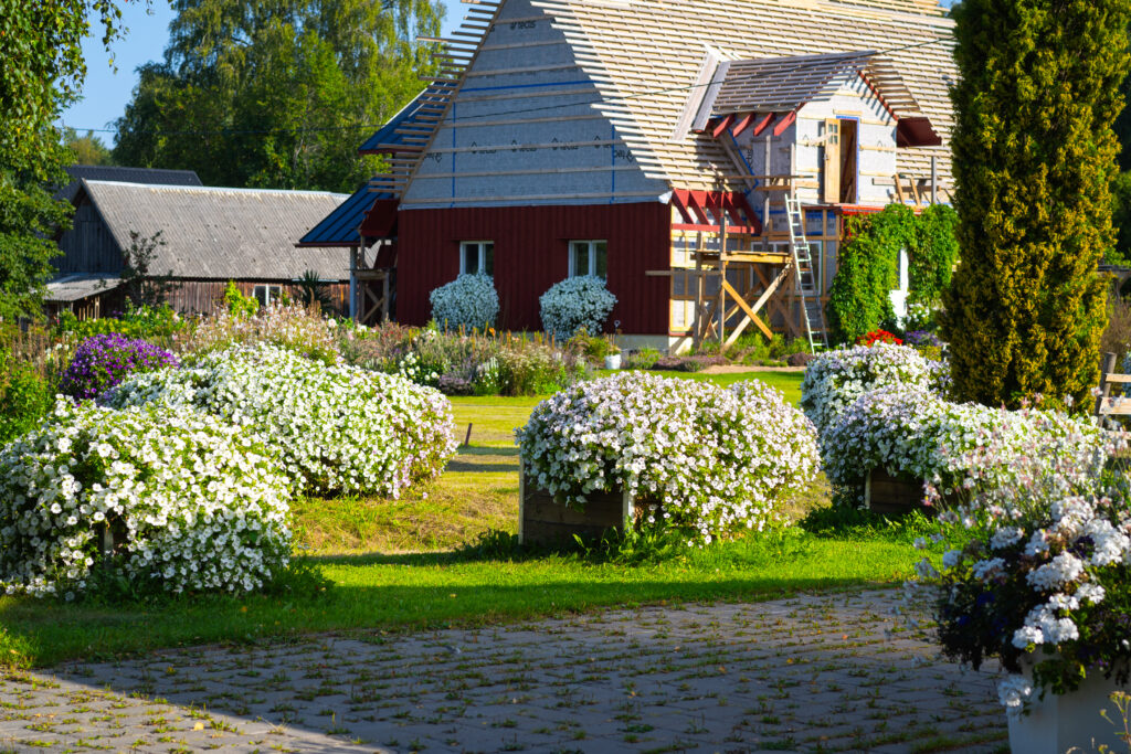 Lilleparuni juures kastid surfiinia Snow