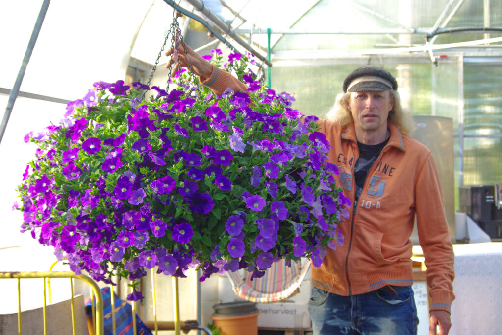 Lilleparun koos hiigelampliga